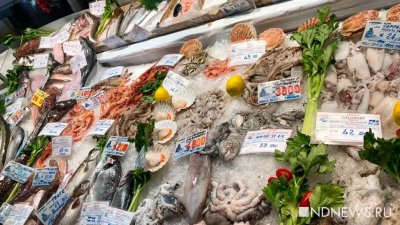 Сеул начал тотальную проверку импортных морепродуктов