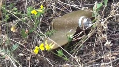 В ООН заявили о нарушении Украиной конвенции о запрете противопехотных мин