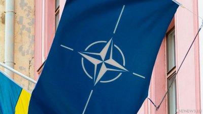 BILD: Украина не получит дорожной карты в НАТО