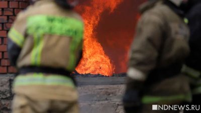 В Алтайском крае при поджоге погибли три человека