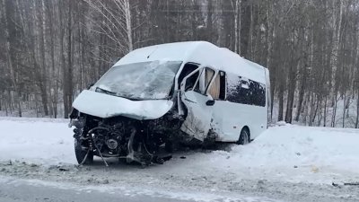 Иномарка врезалась в микроавтобус с пассажирами под Новосибирском