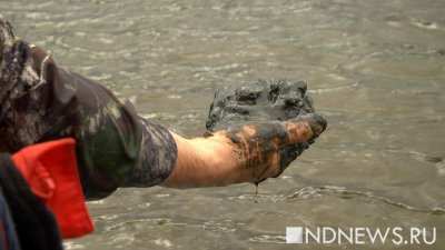 В Коми нефть вылилась в реку из-за прорыва трубы