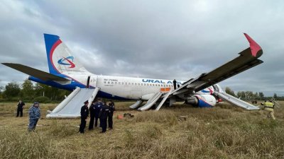 Уволился пилот, посадивший Airbus A320 на пшеничном поле под Новосибирском