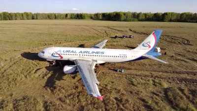 Севший на пшеничное поле самолет «Уральских авиалиний» разберут на запчасти