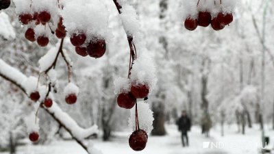 Морозы на Урале отступят к понедельнику