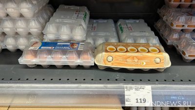 Минсельхоз ожидает снижение цен на яйца в ближайшее время