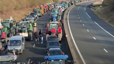 В ФРГ фермеры перекрыли дорогу на Штутгарт