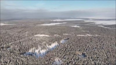 Жители Кедрового жалуются на факты незаконной рубки леса (ВИДЕО)