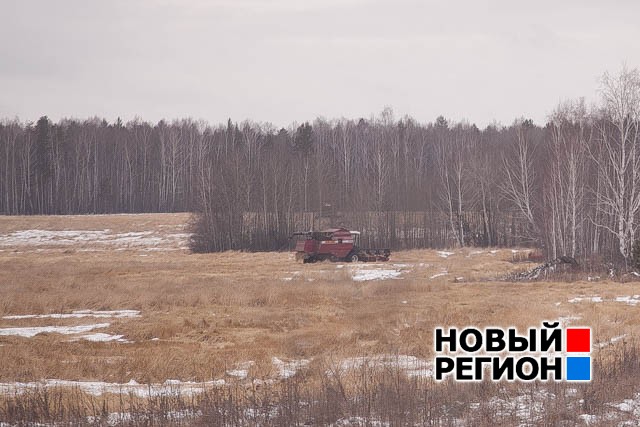 Новый Регион: В Свердловской области аграрии продолжают вызволять урожай из-под снега (ФОТО)