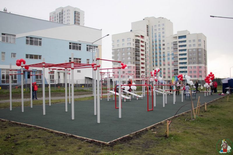 Новый День: Олимпийские чемпионы открыли в Академическом районе новую площадку для воркаута (ФОТО)