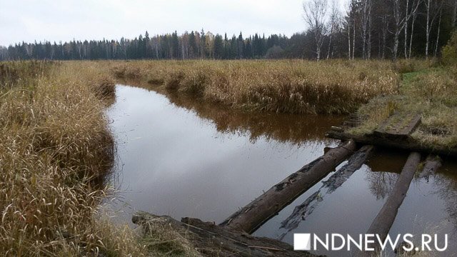 Новый День: На Урале бесследно исчез бывший глава ФСБ (ФОТО, КАРТЫ)