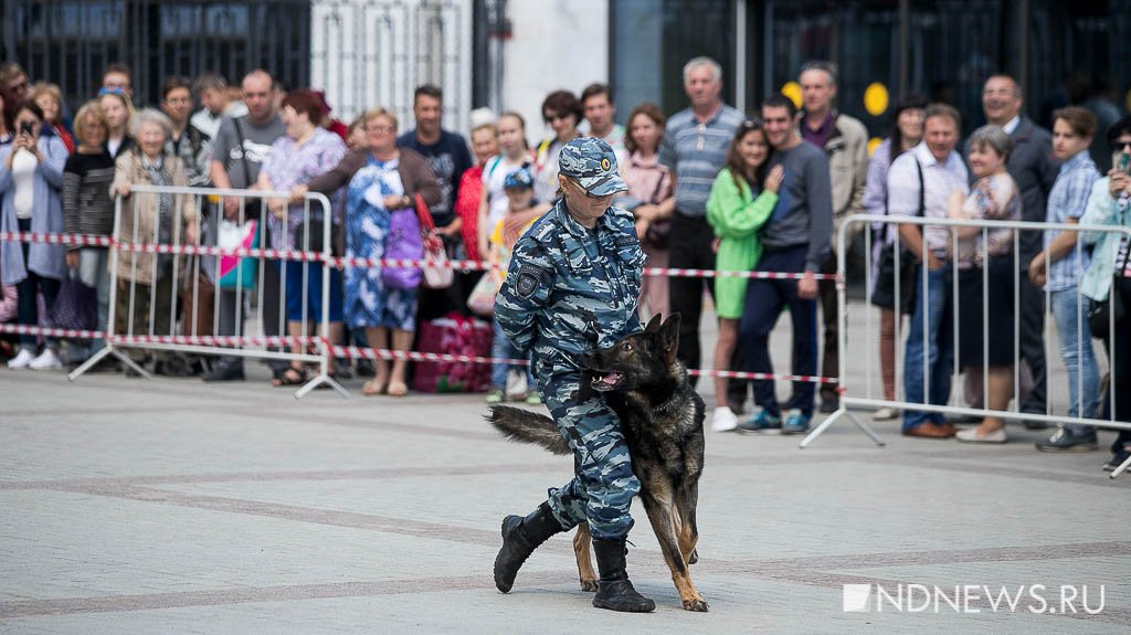 Суперпсы. Служебные собаки МВД устроили шоу у вокзала в Екатеринбурге (ФОТО)