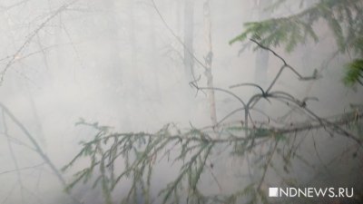 Природный пожар под Березовским оперативно потушили