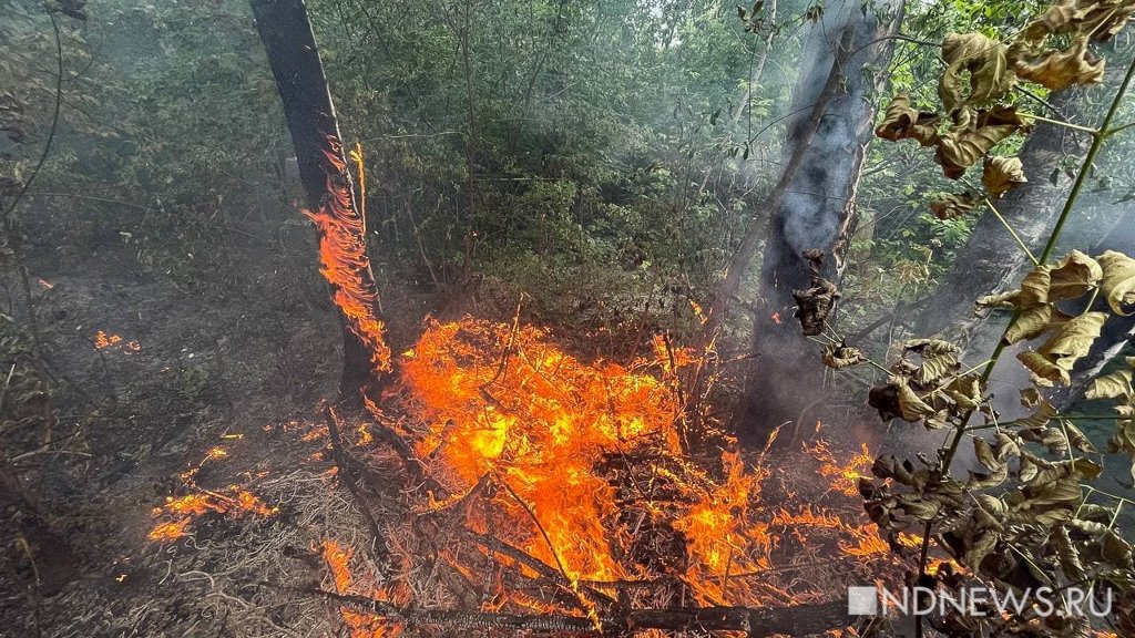 На курортном острове Тенерифе разбушевались лесные пожары