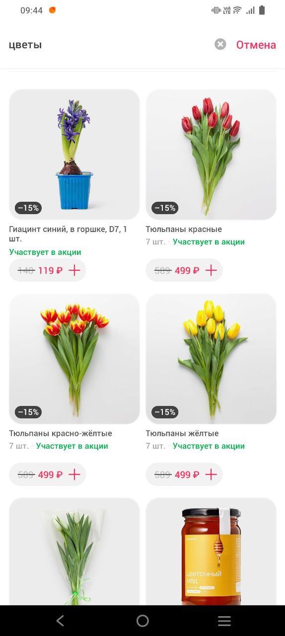 Новый День: Мимоза – 130 рублей, тюльпаны – 250 рублей: магазины у дома начали торговать цветами к 8 Марта (ФОТО)